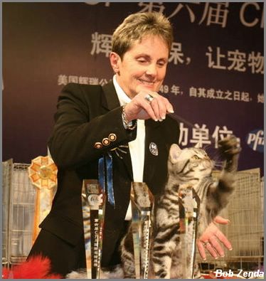 ChinaCatFanciersJan07 (6)